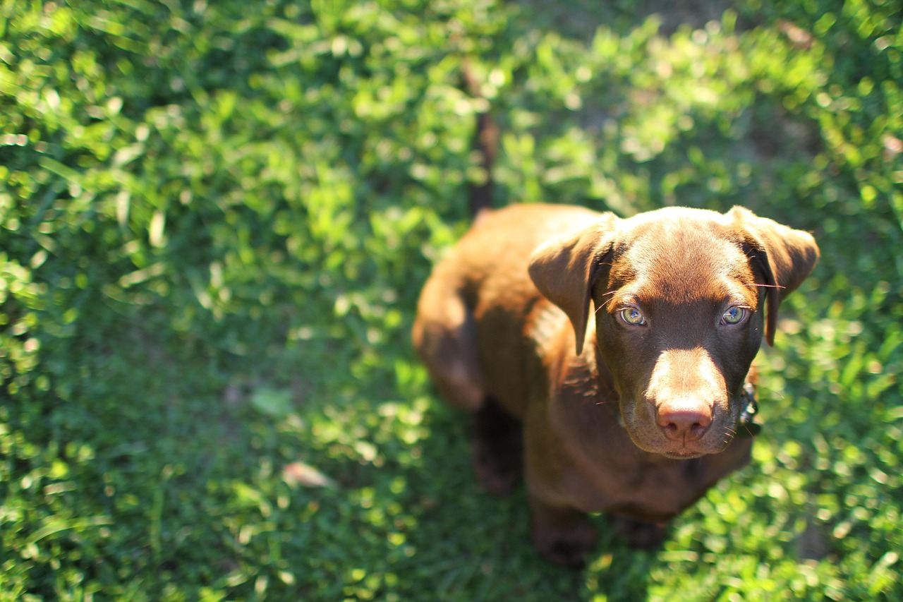 深度ip实名账号：江湖救急app借款详情下载教程