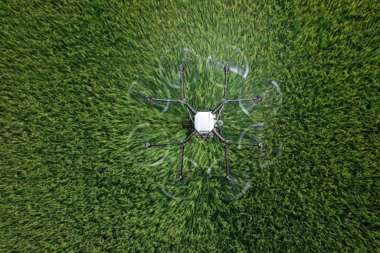 Peel百乐陈皮爆珠（细）：如何开办注册代理