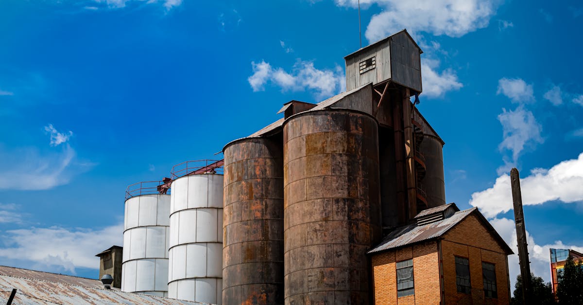 摩臣4娱乐，注册|网站设计：如何通过易于使用的网站网页设计来增加访问量