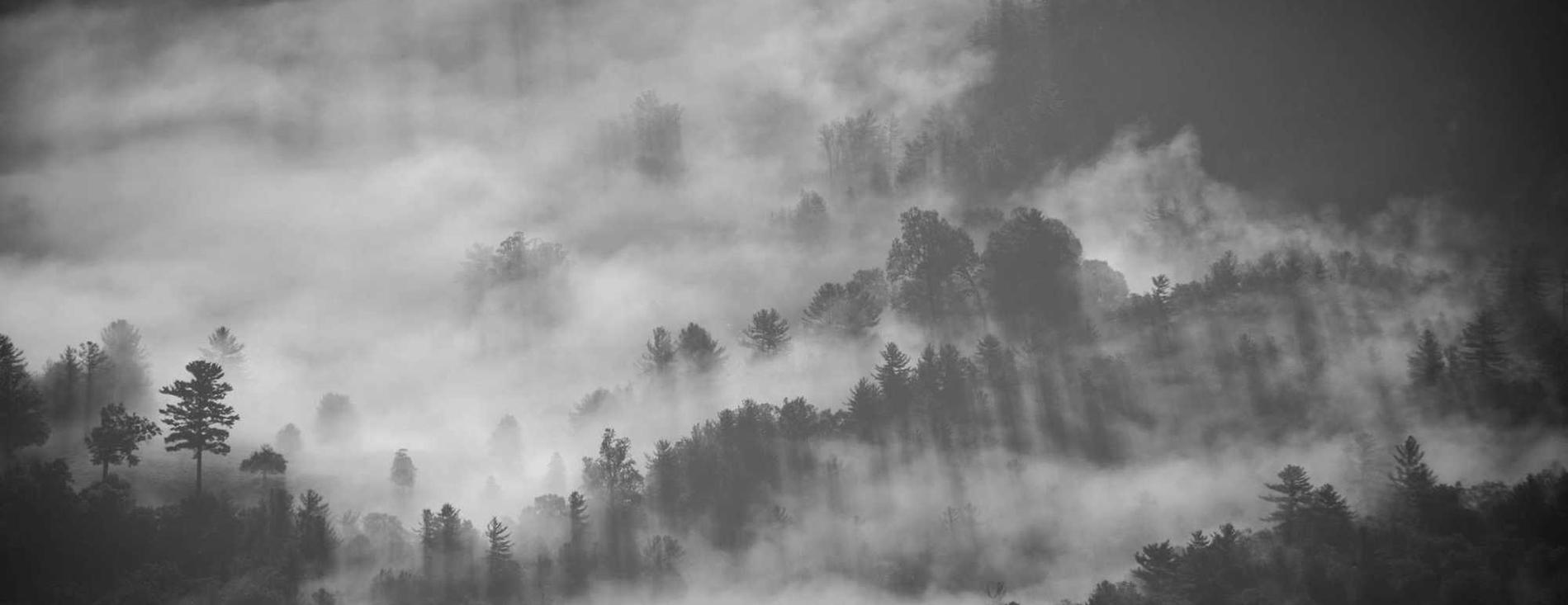 亚马逊AWS实名账号：云康服务app详情下载教程