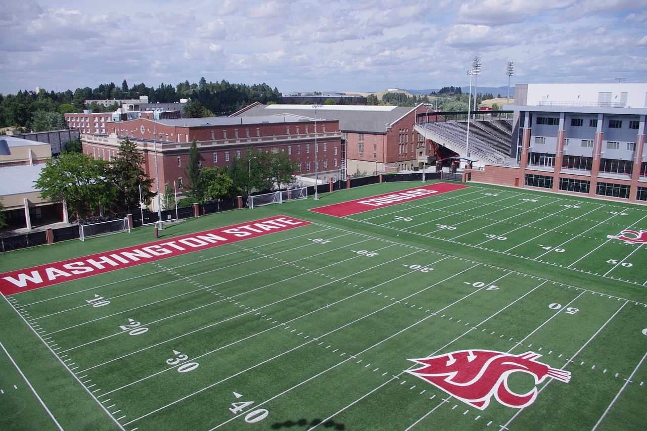 日日顺通信实名账号：流量卡中转的问题：如何处理流量卡中转的问题？