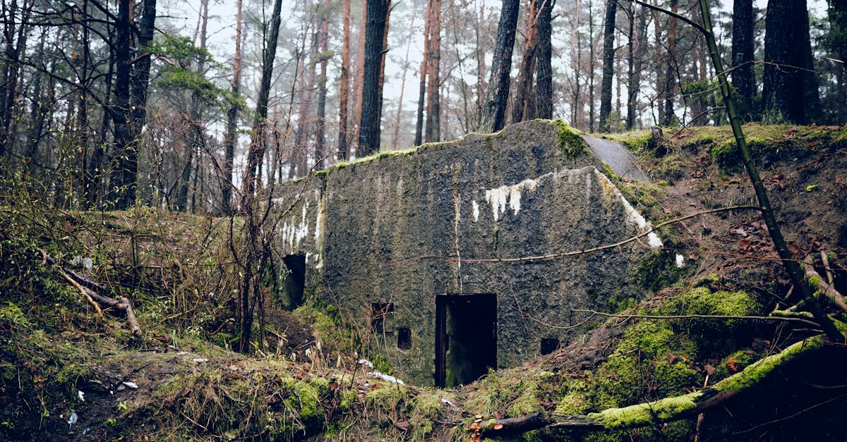 菠萝云实名账号：快手账号什么时候申请注册
