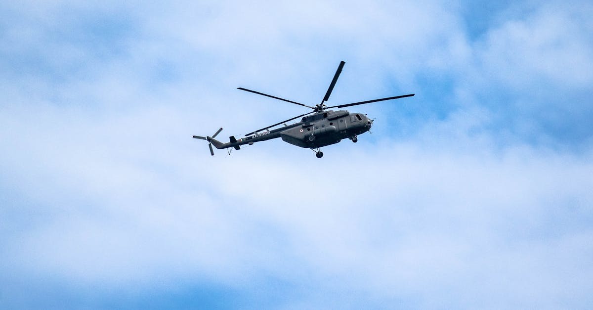 信无双如何进行内容创作与营销