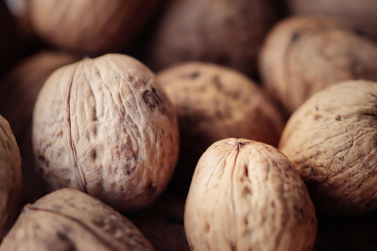 昆明专门注册公司代理