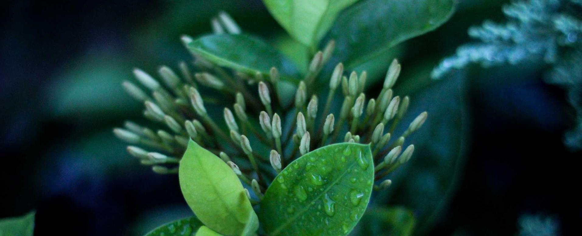 沐鸣2石景山企业注册代理公司