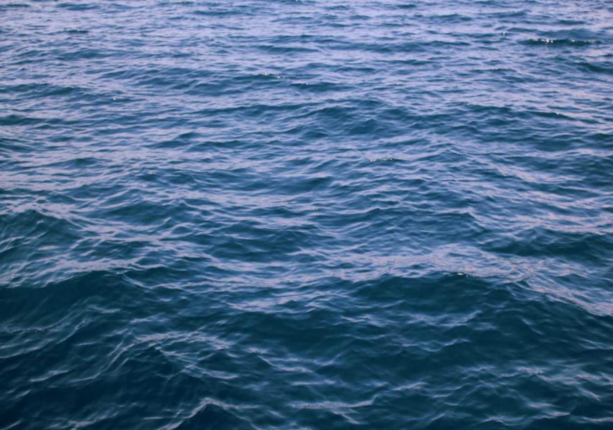 Peel百乐哈密瓜爆珠:如何看账号注册日期