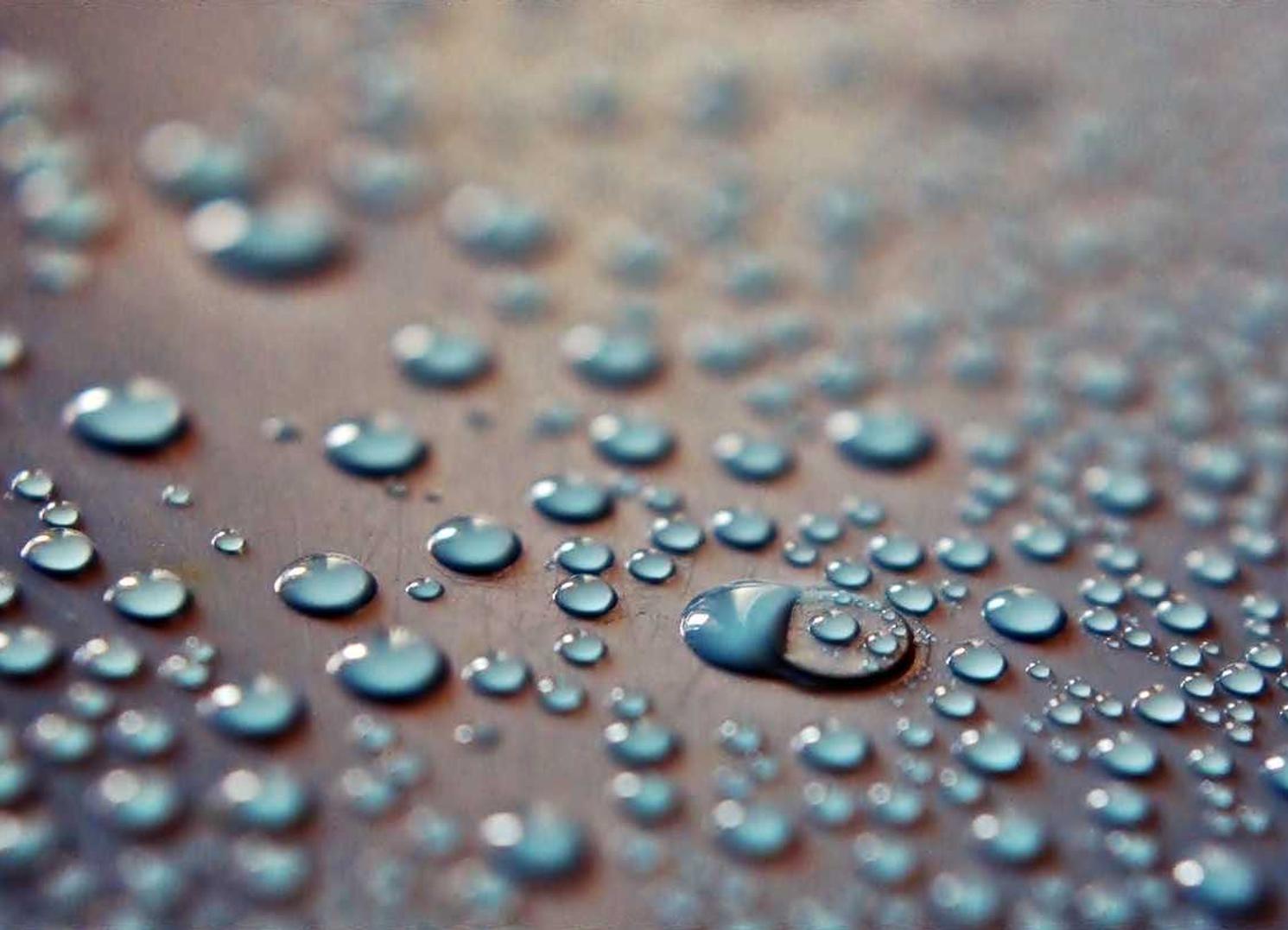 丰信移动实名账号：贴吧账号如何注册